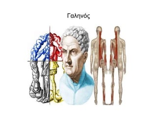 Γαληνός
 