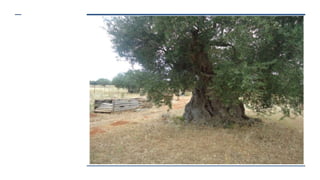 Eπίσκεψη στο Eυμέλεια