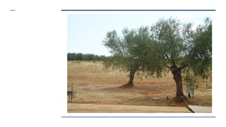 Eπίσκεψη στο Eυμέλεια