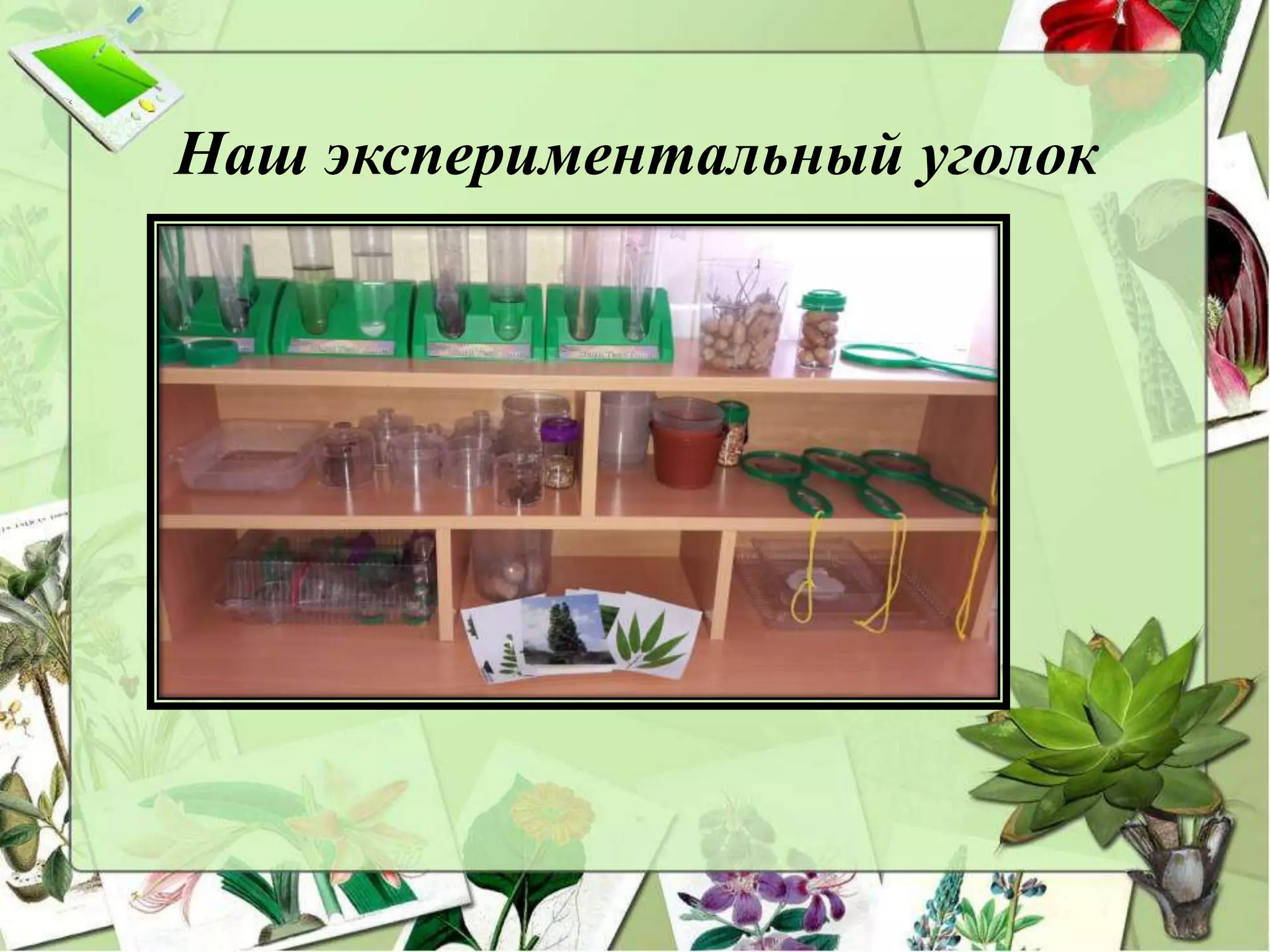 Наш экспериментальный уголок
 