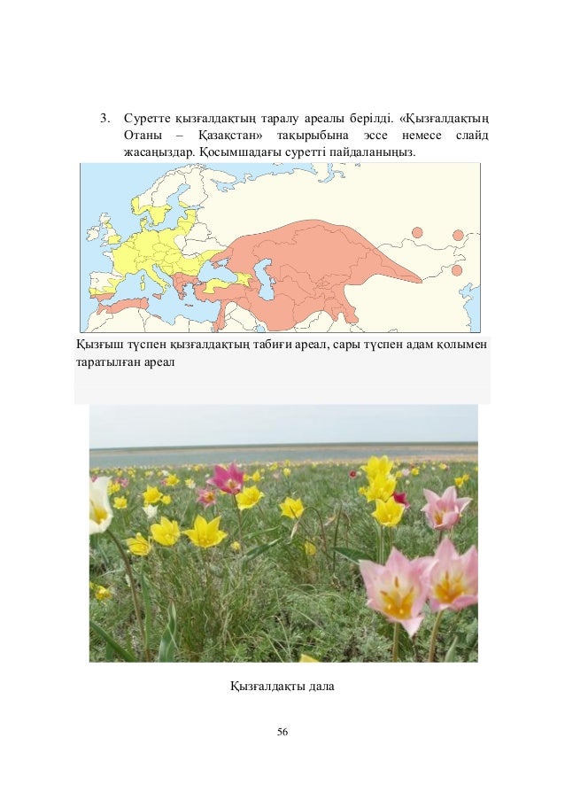 Гранты по биологии