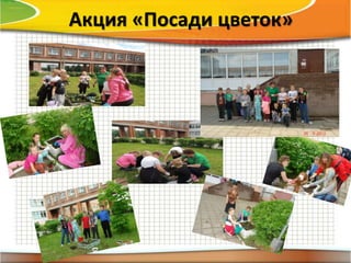 Акция «Посади цветок»
 