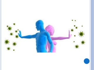 Բակտերիաների մասին