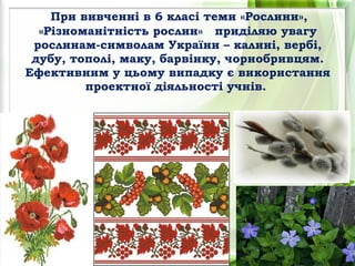 При вивченні в 6 класі теми «Рослини»,
«Різноманітність рослин» приділяю увагу
рослинам-символам України – калині, вербі,
дубу, тополі, маку, барвінку, чорнобривцям.
Ефективним у цьому випадку є використання
проектної діяльності учнів.
 