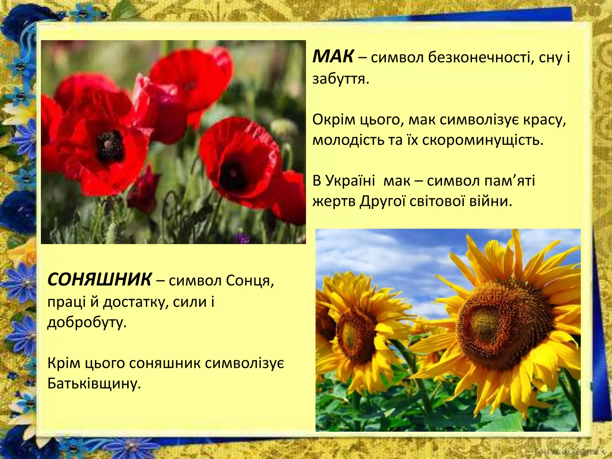 МАК – символ безконечності, сну і
забуття.
Окрім цього, мак символізує красу,
молодість та їх скороминущість.
В Україні мак – символ пам’яті
жертв Другої світової війни.
СОНЯШНИК – символ Сонця,
праці й достатку, сили і
добробуту.
Крім цього соняшник символізує
Батьківщину.
 