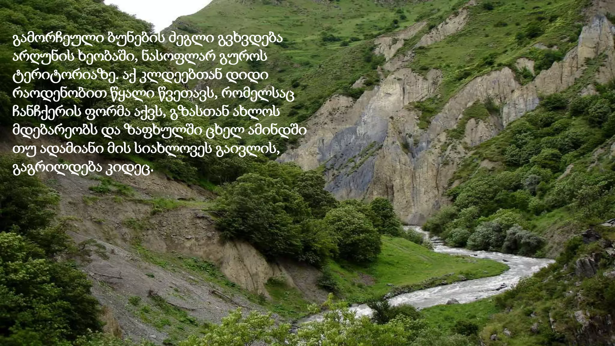 გამორჩეული ბუნების ძეგლი გვხვდება
არღუნის ხეობაში, ნასოფლარ გუროს
ტერიტორიაზე. აქ კლდეებთან დიდი
რაოდენობით წყალი წვეთავს, რომელსაც
ჩანჩქერის ფორმა აქვს, გზასთან ახლოს
მდებარეობს და ზაფხულში ცხელ ამინდში
თუ ადამიანი მის სიახლოვეს გაივლის,
გაგრილდება კიდეც.
 