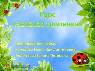 Зелёная тропинка | PPT