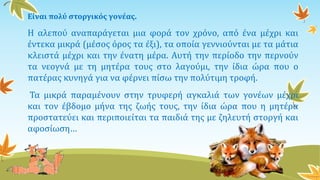 Είναι πολύ στοργικός γονέας.
Η αλεπού αναπαράγεται μια φορά τον χρόνο, από ένα μέχρι και
έντεκα μικρά (μέσος όρος τα έξι), τα οποία γεννιούνται με τα μάτια
κλειστά μέχρι και την ένατη μέρα. Αυτή την περίοδο την περνούν
τα νεογνά με τη μητέρα τους στο λαγούμι, την ίδια ώρα που ο
πατέρας κυνηγά για να φέρνει πίσω την πολύτιμη τροφή.
Τα μικρά παραμένουν στην τρυφερή αγκαλιά των γονέων μέχρι
και τον έβδομο μήνα της ζωής τους, την ίδια ώρα που η μητέρα
προστατεύει και περιποιείται τα παιδιά της με ζηλευτή στοργή και
αφοσίωση…
 