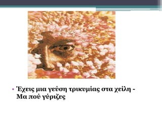 • Έχεις μια γεύση τρικυμίας στα χείλη -
Μα πού γύριζες
 
