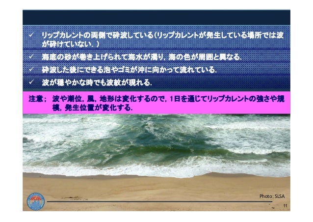 わが国の海水浴場における溺水の実態 日本ライフセービング協会 わが国の海水浴場における溺水の実態 日本ライフセービング協会