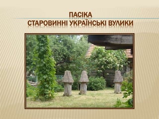 ПАСІКА
СТАРОВИННІ УКРАЇНСЬКІ ВУЛИКИ
 
