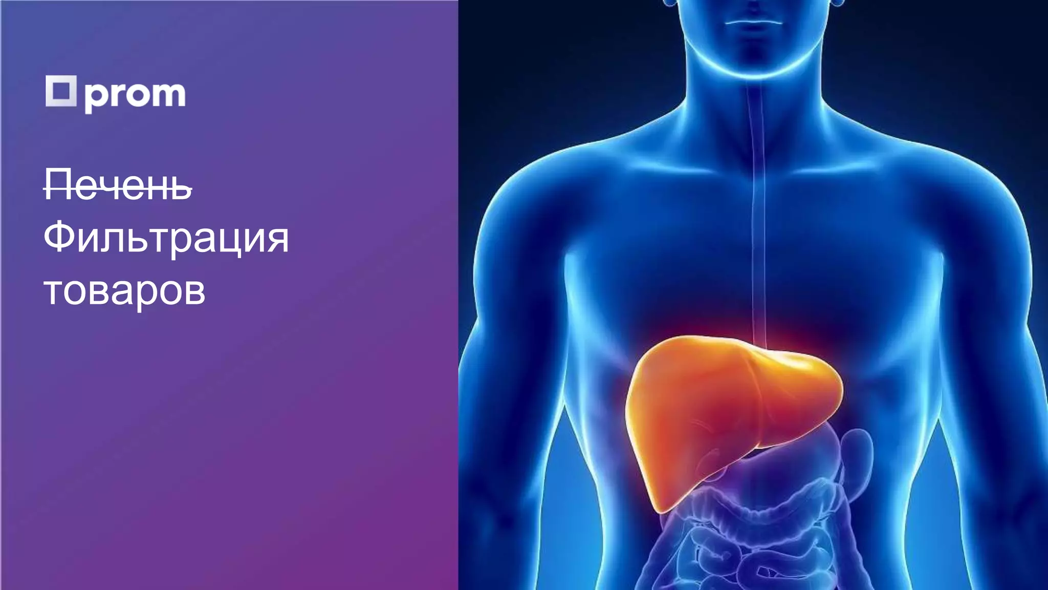 Печень
Фильтрация
товаров
 