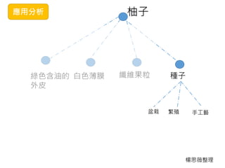 應用分析 柚子
綠色含油的
外皮
白色薄膜 纖維果粒 種子
盆栽 繁殖 手工藝
楊思薇整理
 