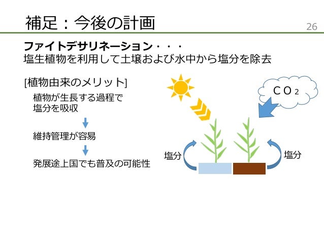 海水の冠水と塩生植物が土壌微生物群集に与える影響の評価 海水の冠水と塩生植物が土壌微生物群集に与える影響の評価