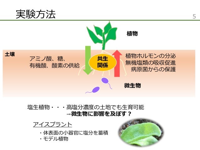 海水の冠水と塩生植物が土壌微生物群集に与える影響の評価