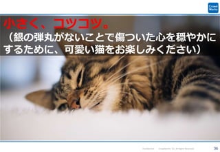 36Confidential Crowdworks, Inc. All Rights Reserved.
小さく、コツコツ。
（銀の弾丸がないことで傷ついた心を穏やかに
するために、可愛い猫をお楽しみください）
 