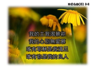 活著為祢(華) 3-2
我的主我渴慕祢
我的心別無愛慕
唯有耶穌是我滿足
唯有祢是我的良人
 