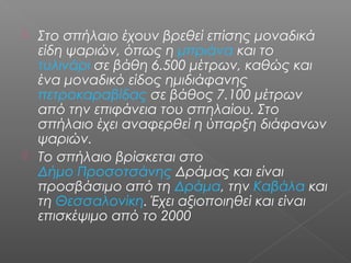  Στο σπήλαιο έχουν βρεθεί επίσης μοναδικά
είδη ψαριών, όπως η μπριάνα και το
τυλινάρι σε βάθη 6.500 μέτρων, καθώς και
ένα μοναδικό είδος ημιδιάφανης
πετροκαραβίδας σε βάθος 7.100 μέτρων
από την επιφάνεια του σπηλαίου. Στο
σπήλαιο έχει αναφερθεί η ύπαρξη διάφανων
ψαριών.
 Το σπήλαιο βρίσκεται στο
Δήμο Προσοτσάνης Δράμας και είναι
προσβάσιμο από τη Δράμα, την Καβάλα και
τη Θεσσαλονίκη. Έχει αξιοποιηθεί και είναι
επισκέψιμο από το 2000
 