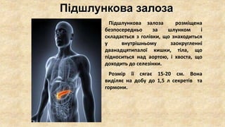 Де в україні знаходиться резиденція святого миколая