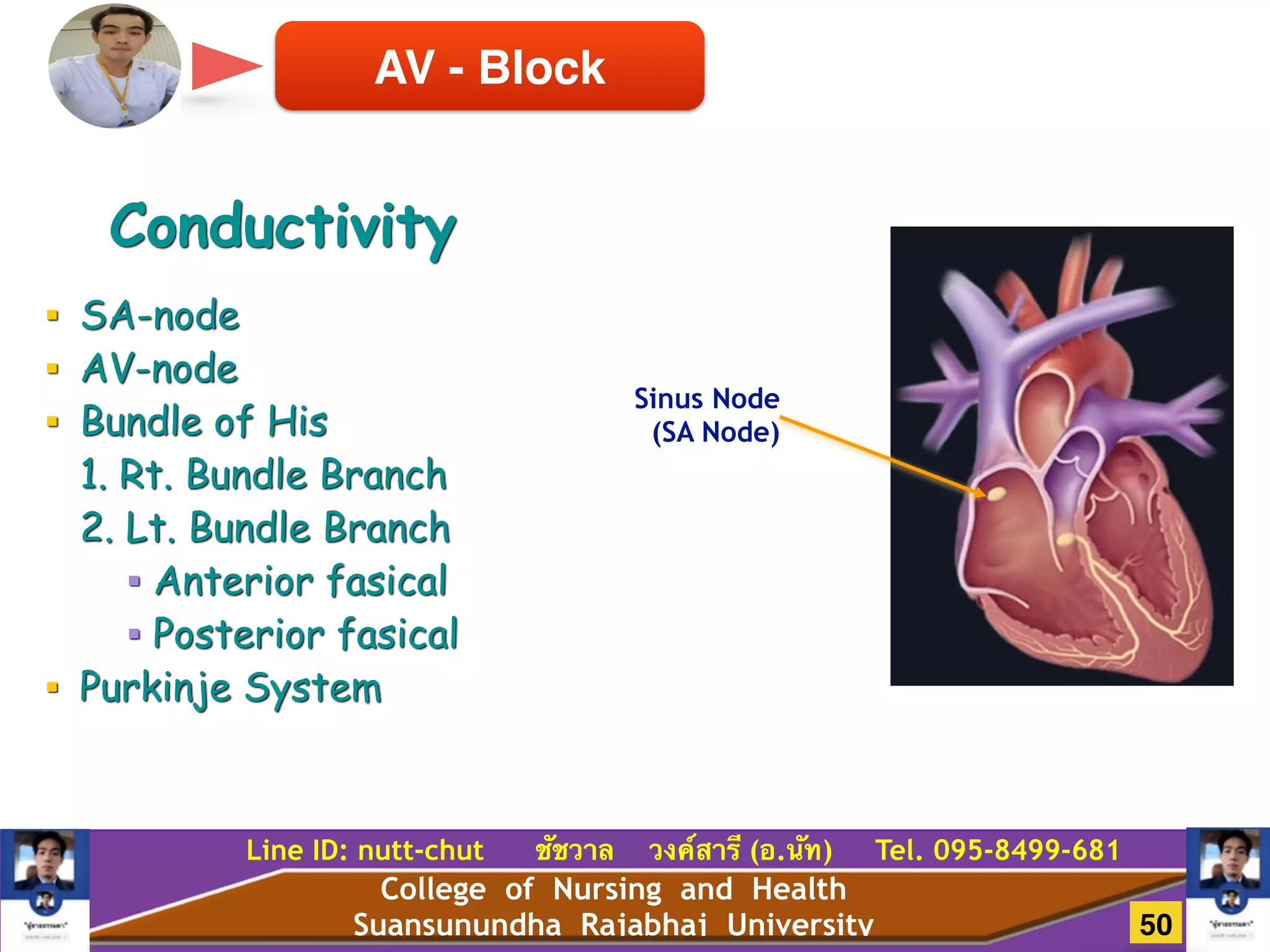 College of Nursing and Health
Suansunundha Rajabhaj University
Line ID: nutt-chut ชัชวาล วงค์สารี (อ.นัท) Tel. 095-8499-681
AV - Block
Sinus Node
(SA Node)
!
■ SA-node
■ AV-node
■ Bundle of His
1. Rt. Bundle Branch
2. Lt. Bundle Branch
■ Anterior fasical
■ Posterior fasical
■ Purkinje System
Conductivity
50
 