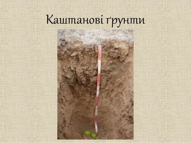 Грунти України