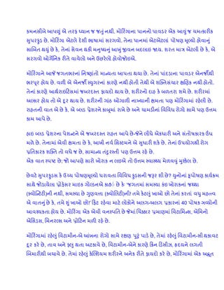 આદુની વિશેષતા | DOCX