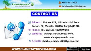 WWW.PLANETAYURVEDA.COM
Address : Plot No. 627, JLPL Industrial Area,
Sector - 82, Mohali - 140306, Punjab (INDIA)
Phone : +91-172-521-4030 (Work)
Websites : www.planetayurveda.com,
www.alwaysayurveda.com
E-mail Id : herbalremedies123@yahoo.com
CONTACT US
herbalremedies123@yahoo.com
+91-172-521-4030
 