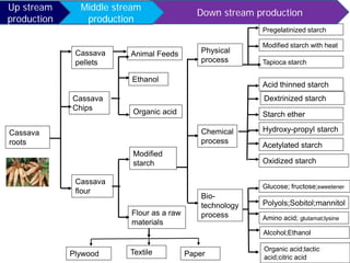 Cassava
roots
Cassava
pellets
Cassava
Chips
Cassava
flour
Paper
Animal Feeds
Ethanol
Organic acid
Modified
starch
Flour as a raw
materials
TextilePlywood
Physical
process
Polyols;Sobitol;mannitol
Dextrinized starch
Bio-
technology
process
Chemical
process
Pregelatinized starch
Modified starch with heat
Tapioca starch
Acid thinned starch
Starch ether
Hydroxy-propyl starch
Acetylated starch
Oxidized starch
Glucose; fructose;sweetener
Amino acid; glutamat;lysine
Organic acid;lactic
acid;citric acid
Alcohol;Ethanol
Down stream production
Middle stream
production
Up stream
production
 