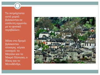Τα πετρόχτιστα
αυτά χωριά
βρίσκονται σε
απόλυτη αρμονία
με το φυσικό
περιβάλλον.
Μέσα στο δρυμό
βρίσκονται
τέσσερις κύριοι
οικισμοί: το
Μεγάλο και το
Μικρό Πάπιγκο, ο
Βίκος και το
Μονοδένδρι.
 