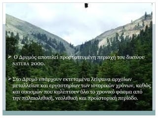  Ο Δρυμός αποτελεί προστατευμένη περιοχή του δικτύου
ΝΑΤURA 2000.
Στο Δρυμό υπάρχουν εκτεταμένα λείψανα αρχαίων
μεταλλείων και εργαστηρίων των ιστορικών χρόνων, καθώς
και οικισμών που καλύπτουν όλο το χρονικό φάσμα από
την παλαιολιθική, νεολιθική και προϊστορική περίοδο.
 