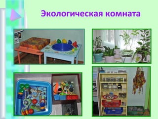 Экологическая комната
 