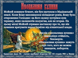 Біблія. Старий Заповіт.