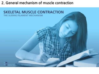 2. General mechanism of muscle contraction
 