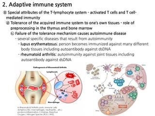 2. Adaptive immune system
⑧ Special attributes of the T-lymphocyte system - activated T cells and T cell-
mediated immunity
ⓓ Tolerance of the acquired immune system to one’s own tissues - role of
preprocessing in the thymus and bone marrow
㉡ Failure of the tolerance mechanism causes autoimmune disease
- several specific diseases that result from autoimmunity
- lupus erythematosus; person becomes immunized against many different
body tissues including autoantibody against dsDNA
- rheumatoid arthritis; autoimmunity against joint tissues including
autoantibody against dsDNA
 