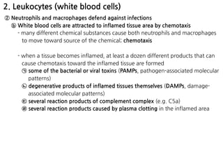 2. Leukocytes (white blood cells)
② Neutrophils and macrophages defend against infections
ⓑ White blood cells are attracted to inflamed tissue area by chemotaxis
- many different chemical substances cause both neutrophils and macrophages
to move toward source of the chemical; chemotaxis
- when a tissue becomes inflamed, at least a dozen different products that can
cause chemotaxis toward the inflamed tissue are formed
㉠ some of the bacterial or viral toxins (PAMPs, pathogen-associated molecular
patterns)
㉡ degenerative products of inflamed tissues themselves (DAMPs, damage-
associated molecular patterns)
㉢ several reaction products of complement complex (e.g. C5a)
㉣ several reaction products caused by plasma clotting in the inflamed area
 