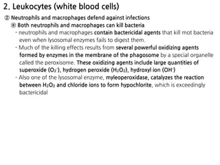 2. Leukocytes (white blood cells)
② Neutrophils and macrophages defend against infections
ⓔ Both neutrophils and macrophages can kill bacteria
- neutrophils and macrophages contain bactericidal agents that kill mot bacteria
even when lysosomal enzymes fails to digest them.
- Much of the killing effects results from several powerful oxidizing agents
formed by enzymes in the membrane of the phagosome by a special organelle
called the peroxisome. These oxidizing agents include large quantities of
superoxide (O2
-), hydrogen peroxide (H2O2), hydroxyl ion (OH-)
- Also one of the lysosomal enzyme, myleoperoxidase, catalyzes the reaction
between H2O2 and chloride ions to form hypochlorite, which is exceedingly
bactericidal
 