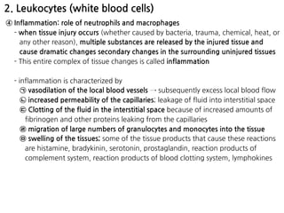 2. Leukocytes (white blood cells)
④ Inflammation: role of neutrophils and macrophages
- when tissue injury occurs (whether caused by bacteria, trauma, chemical, heat, or
any other reason), multiple substances are released by the injured tissue and
cause dramatic changes secondary changes in the surrounding uninjured tissues
- This entire complex of tissue changes is called inflammation
- inflammation is characterized by
㉠ vasodilation of the local blood vessels → subsequently excess local blood flow
㉡ increased permeability of the capillaries; leakage of fluid into interstitial space
㉢ Clotting of the fluid in the interstitial space because of increased amounts of
fibrinogen and other proteins leaking from the capillaries
㉣ migration of large numbers of granulocytes and monocytes into the tissue
㉤ swelling of the tissues; some of the tissue products that cause these reactions
are histamine, bradykinin, serotonin, prostaglandin, reaction products of
complement system, reaction products of blood clotting system, lymphokines
 