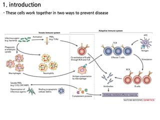 1. introduction
- These cells work together in two ways to prevent disease
 