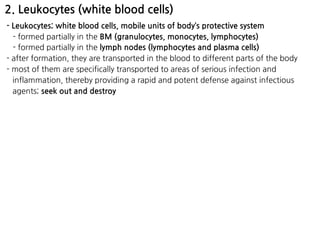 2. Leukocytes (white blood cells)
- Leukocytes; white blood cells, mobile units of body’s protective system
- formed partially in the BM (granulocytes, monocytes, lymphocytes)
- formed partially in the lymph nodes (lymphocytes and plasma cells)
- after formation, they are transported in the blood to different parts of the body
- most of them are specifically transported to areas of serious infection and
inflammation, thereby providing a rapid and potent defense against infectious
agents; seek out and destroy
 
