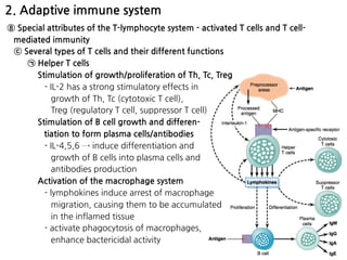 2. Adaptive immune system
⑧ Special attributes of the T-lymphocyte system - activated T cells and T cell-
mediated immunity
ⓒ Several types of T cells and their different functions
㉠ Helper T cells
Stimulation of growth/proliferation of Th, Tc, Treg
- IL-2 has a strong stimulatory effects in 
growth of Th, Tc (cytotoxic T cell),  
Treg (regulatory T cell, suppressor T cell)
Stimulation of B cell growth and differen- 
tiation to form plasma cells/antibodies
- IL-4,5,6 → induce differentiation and 
growth of B cells into plasma cells and 
antibodies production
Activation of the macrophage system
- lymphokines induce arrest of macrophage 
migration, causing them to be accumulated  
in the inflamed tissue
- activate phagocytosis of macrophages, 
enhance bactericidal activity
 