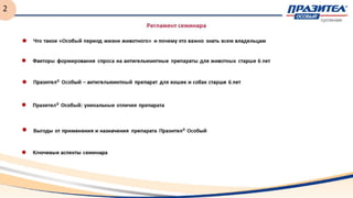 Презентация по препарату Празител Особый для ветврачей | PPT