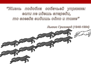 Болезнь модифицирующая терапия остеоартрита