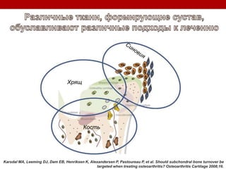 Хрящ
Кость
Karsdal MA, Leeming DJ, Dam EB, Henriksen K, Alexandersen P, Pastoureau P, et al. Should subchondral bone turnover be
targeted when treating osteoarthritis? Osteoarthritis Cartilage 2008;16.
 