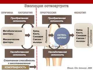 Хрящ
Кость
Синовия
Связки /
мышцы
Хрящ
Кость
Синовия
Связки /
мышцы
Метаболические
факторы
Механические
факторы
Спонтанная способность
к восстановлению
Rheum. Clin. Immunol., 2008
Патология
Доминирование
симптомов
 