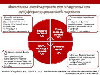 Mobasheri A., Bay-Jensen A.-C., van Spil W.E. et al. Osteoarthritis Year in Review 2016: biomarkers (biochemical markers)/
Osteoarthritis Cartilage.2017; 25: 199-208.
• Эпизоды воспаления
синовии, в патогенезе
возникновения которых
главная роль принадлежит
макрофагам
• Ассоциация с
метаболическим синдромом
• В начале болезни высокий
уровень ММП, что вторично
разрушают хрящ.
• Могут быть полезны
ингибиторы ММП
• Генерализованные формы
ОА
•Ведущая патология
субхондральной кости с
высоким костным оборотом
•Эффект антирезорбтивной
терапии
• Генерализованные формы
ОА
• Нарушение функции
хондроцитов со снижением
синтеза протеогликанов
• Эффект
«хондропротекторов»
 