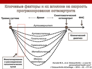 Аутоиммунитет
Аутовоспаление
Генетические
Гормональные
Метаболические
Механо-
трансдукция
Клинический
диагноз
Фенотипирование
и рассоединение
патогенетических
путей
Травма сустава
Симптоматический
остеоартрит ФНСВремя
Karsdal M.A., et al. Osteoarthritis – a case for
personalized health care?
// Osteoarthritis &Cartilage. – 2014. – 22. – P.7-16
 