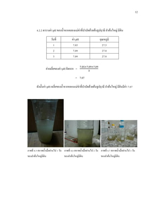 12
4.2.2 ตารางค่า pH ของน้าจากคลองแม่ข่าที่บาบัดด้วยต้นธูปฤาษี ลาต้นใหญ่ มีดิน
วันที่ ค่า pH อุณหภูมิ
1 7.05 27.5
2 7.09 27.8
3 7.09 27.8
ค่าเฉลี่ยของค่า pH คิดจาก =
= 7.07
ดังนั้นค่า pH เฉลี่ยของน้าจากคลองแม่ข่าที่บาบัดด้วยต้นธูปฤาษี ลาต้นใหญ่ มีดินมีค่า 7.07
ภาพที่ 4.5 สภาพน้าเมื่อผ่านไป 1 วัน ภาพที่ 4.6 สภาพน้าเมื่อผ่านไป 2 วัน ภาพที่ 4.7 สภาพน้าเมื่อผ่านไป 3 วัน
ของลาต้นใหญ่มีดิน ของลาต้นใหญ่มีดิน ของลาต้นใหญ่มีดิน
 