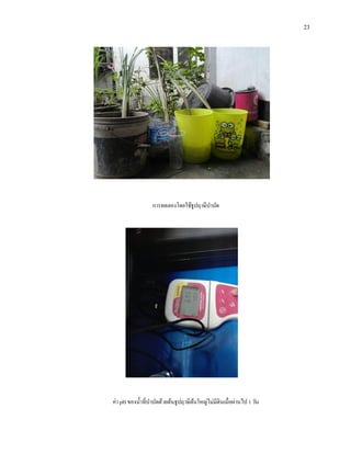 23
การทดลองโดยใช้ธูปฤาษีบาบัด
ค่า pH ของน้าที่บาบัดด้วยต้นธูปฤาษีต้นใหญ่ไม่มีดินเมื่อผ่านไป 1 วัน
 