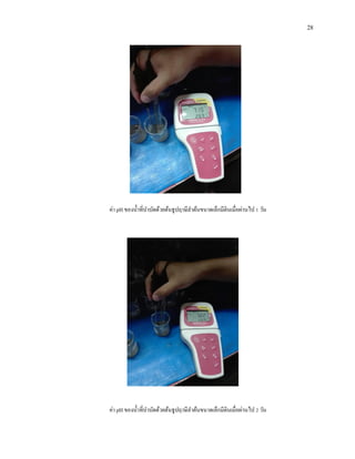 28
ค่า pH ของน้าที่บาบัดด้วยต้นธูปฤาษีลาต้นขนาดเล็กมีดินเมื่อผ่านไป 1 วัน
ค่า pH ของน้าที่บาบัดด้วยต้นธูปฤาษีลาต้นขนาดเล็กมีดินเมื่อผ่านไป 2 วัน
 