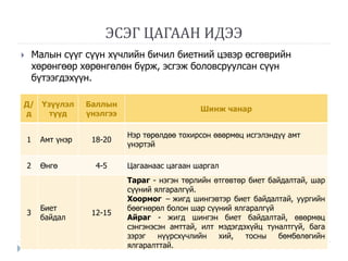 сүү, сүүн бүтээгдэхүүний амтлагаа | PPT
